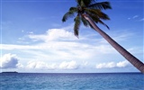 Beach Landschaft Wallpaper (3) #2