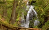Waterfall-Streams Wallpaper (10) #3