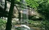 Waterfall streams wallpaper (10) #8