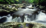 Waterfall-Streams Wallpaper (10) #9