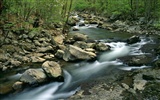 Waterfall streams wallpaper (10) #17