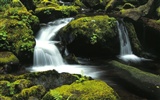 Waterfall-Streams Wallpaper (10) #18