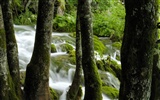 Cascada arroyos fondo de pantalla (10) #19