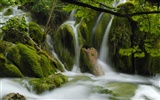 Waterfall streams wallpaper (10) #20