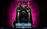 貓狗大戰2：貓怪的複仇 壁紙專輯 #12