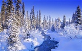 Fond d'écran panoramique de neige (1)