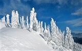 Snow Widescreen-Wallpaper (1) #4