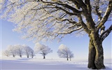 Fond d'écran panoramique de neige (1) #6