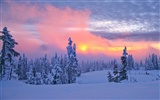 Snow Widescreen-Wallpaper (1) #10