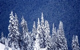Fond d'écran panoramique de neige (1) #14