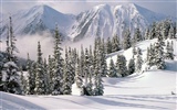 Snow Widescreen-Wallpaper (1) #19