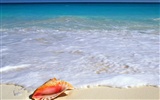 Beach scenery wallpapers (5) #15