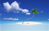 Beach scenery wallpapers (5) #18