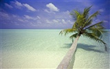 Beach Landschaft Wallpaper (5) #20