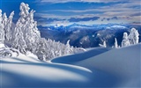 Fond d'écran panoramique de neige (2) #4