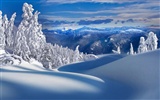 Snow Widescreen-Wallpaper (2) #4