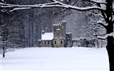 Fond d'écran panoramique de neige (2) #5