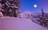 Fond d'écran panoramique de neige (2) #6