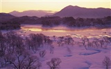 寬屏雪景 壁紙(二) #14
