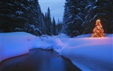 Fond d'écran panoramique de neige (2) #15