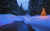 Snow Widescreen-Wallpaper (2) #15