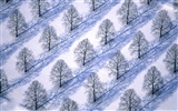 Fond d'écran panoramique de neige (2) #17