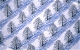 Nieve fondo de pantalla ancha (2) #17