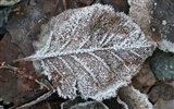 Ice-Anlage Bilder Album (2) #3