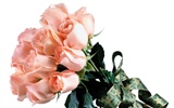 Rose Foto tapety (3) #12