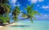 Beach scenery wallpapers (6) #2