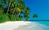 Beach scenery wallpapers (6) #8