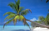 Beach Landschaft Wallpaper (6) #11