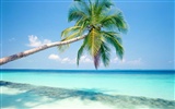 Beach Landschaft Wallpaper (6) #12