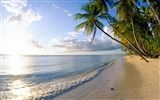 Beach scenery wallpapers (6) #18