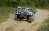 Hummer wallpaper album (5) #5