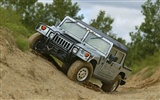 Hummer Tapete Album (5) #8