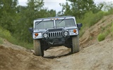 Hummer Tapete Album (5) #9