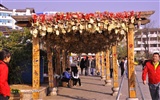 Lijiang ancient town atmosphere (1) (old Hong OK works) #10