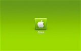 Apple Thema Tapete Album (26) #12