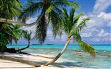 Beach Landschaft Wallpaper (7) #10