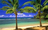 Beach Landschaft Wallpaper (7) #12