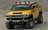 Hummer wallpaper album (6) #17