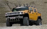 Hummer Tapete Album (6) #18