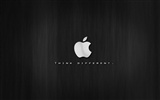 Apple theme wallpaper album (28) #19