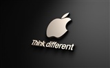 Apple theme wallpaper album (29) #12