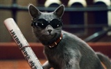 貓狗大戰2：貓怪的複仇 壁紙專輯 #17