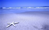 Beach photo wallpaper (1) #15