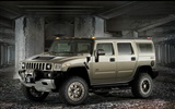 Hummer disco fondo de pantalla (7) #17