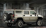 Hummer disco fondo de pantalla (7) #18