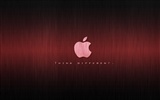 album Apple wallpaper thème (32) #8